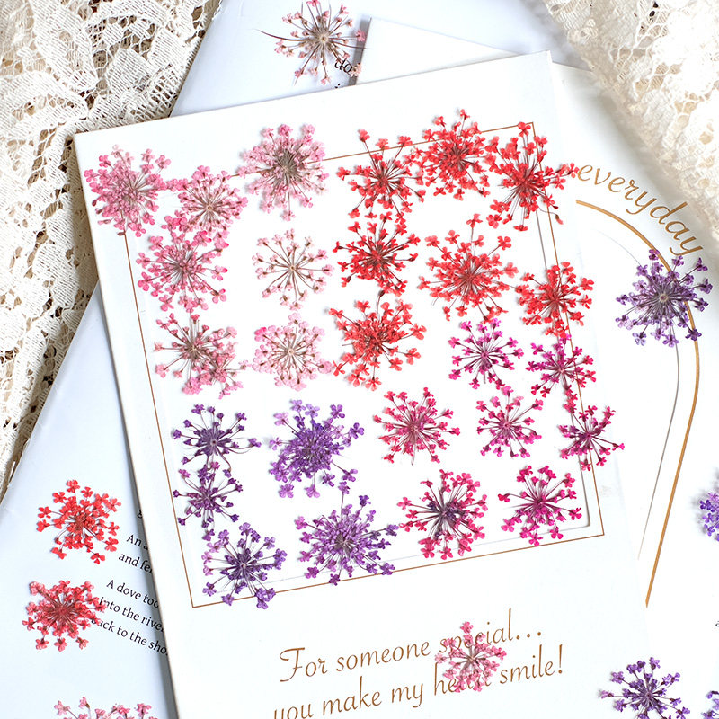 Photo Frame Baby - 24 pièces, 2-2,5 cm, mini pétales