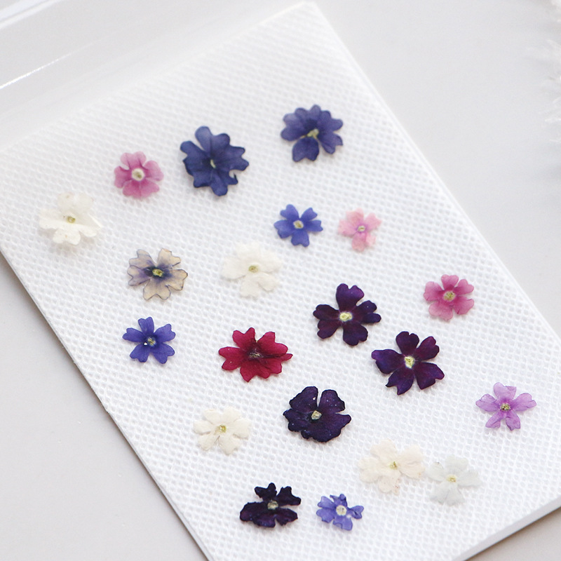 40 pcs/lot, Mini pétales de fl - Photo Frame Baby avis et prix