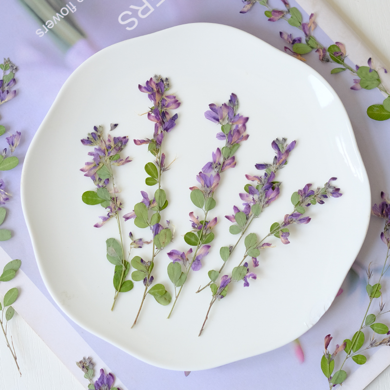 6 pièces, fleurs séchées press - Photo Frame Baby avis et prix