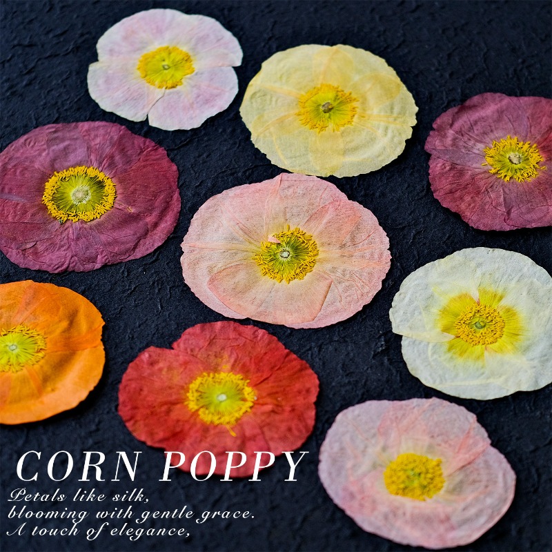 1 pièce, Fleurs de pavot de ca - Photo Frame Baby avis et prix