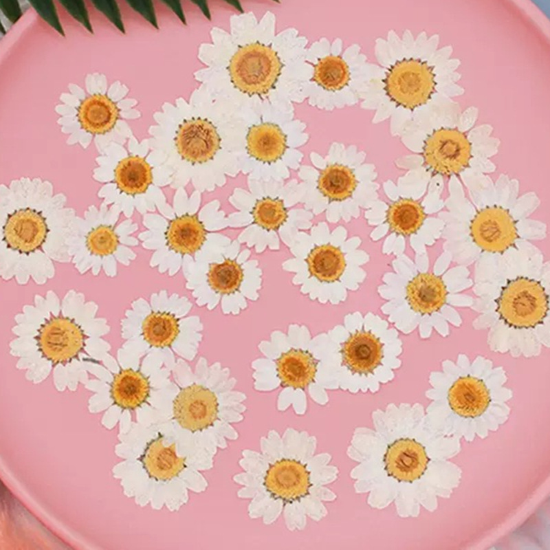 100 pièces de spécimens de pla - Photo Frame Baby avis et prix