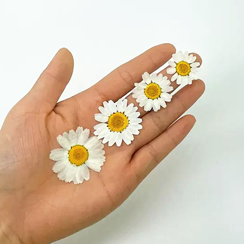 100 pièces de spécimens de pla - Photo Frame Baby avis et prix