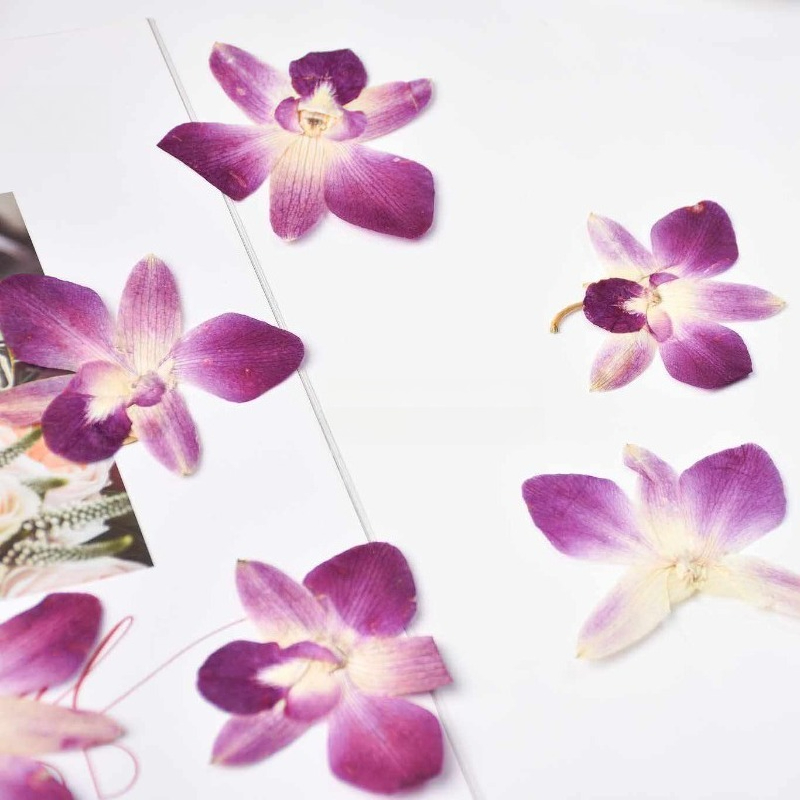 4 pièces, véritables fleurs d' - Photo Frame Baby avis et prix