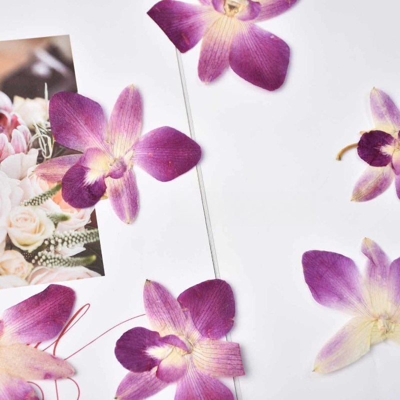 4 pièces, véritables fleurs d' - Photo Frame Baby avis et prix