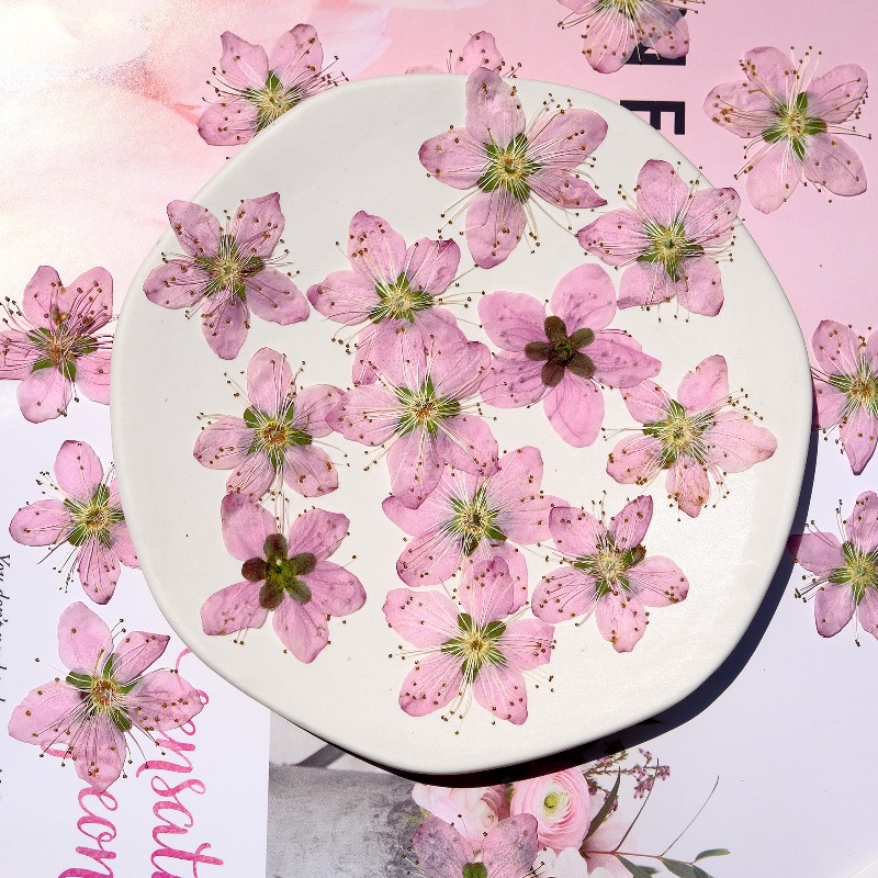 Fleurs séchées pressées de pêc - Photo Frame Baby avis et prix