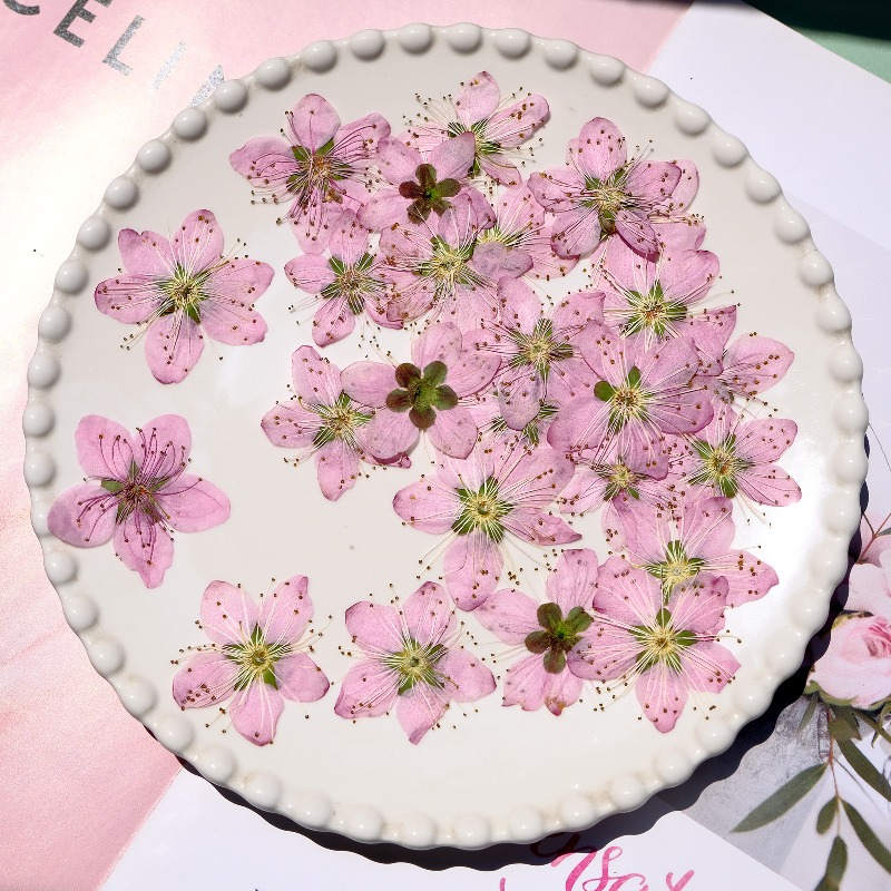 Fleurs séchées pressées de pêc - Photo Frame Baby avis et prix