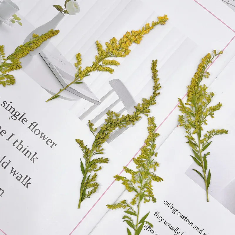 Plante en relief de fleur pres - Photo Frame Baby avis et prix