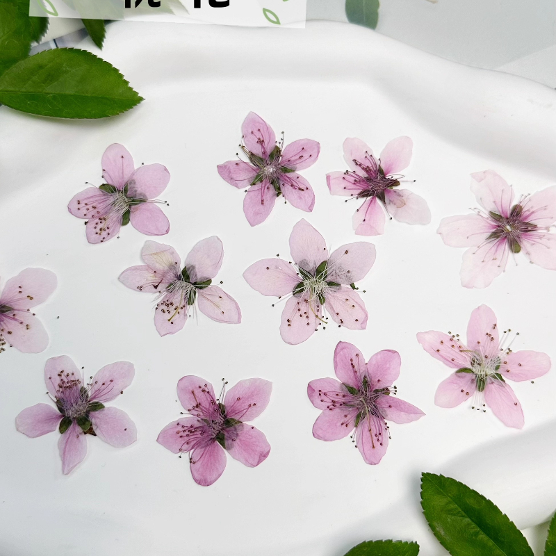 12 pièces, Fleurs de pêcher na - Photo Frame Baby avis et prix